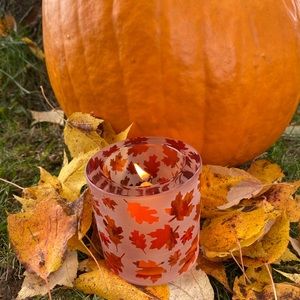 Party Lite Autumn Glow Votive Holder